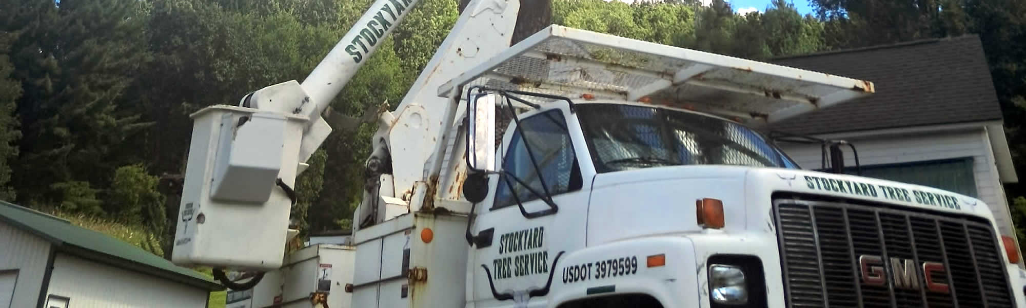 Local Tree Services