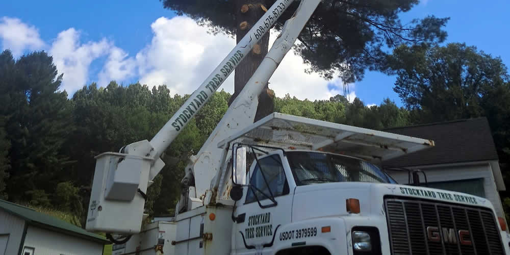 Local Tree Services
