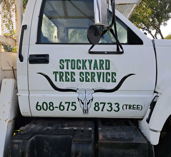 Expert Tree Services