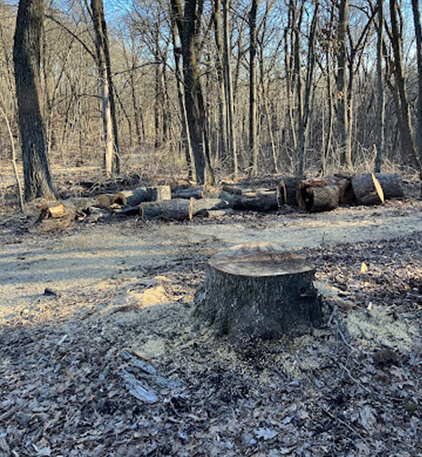 Farm & Rural Property Stump Removal