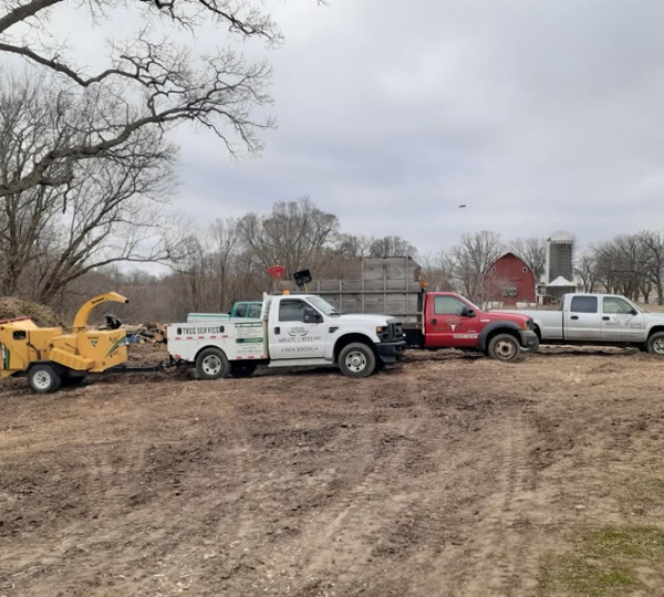Large Lot Clearing Services near me