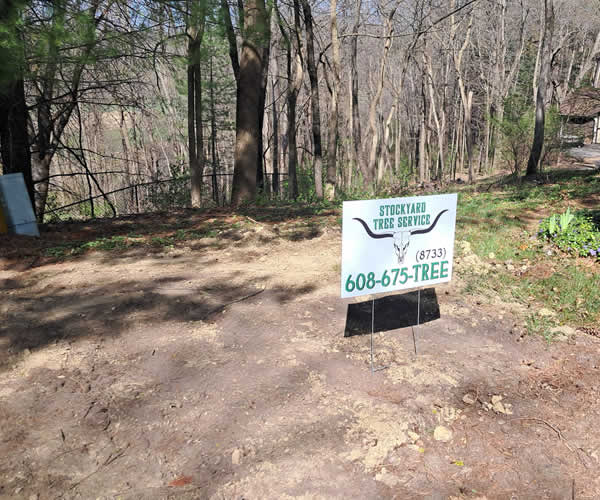 Large Lot Clearing Services Baraboo WI