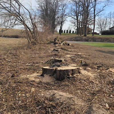 Local Large Lot Clearing WI
