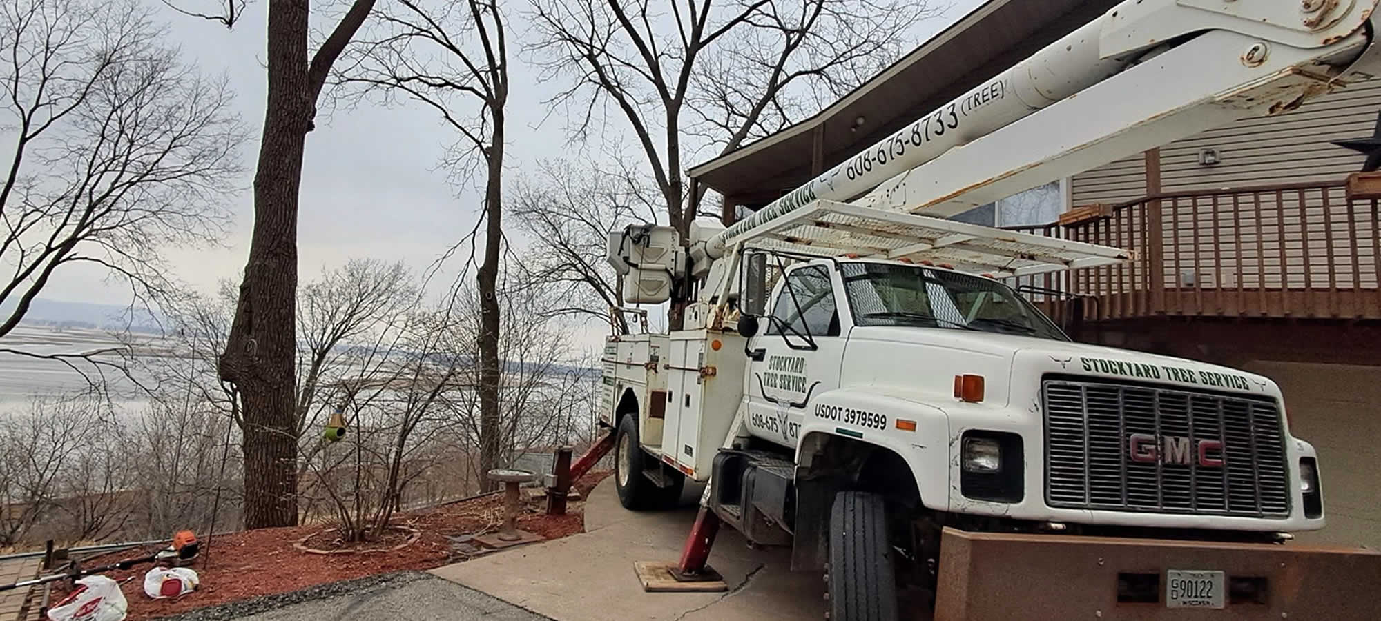 Local Tree Services
