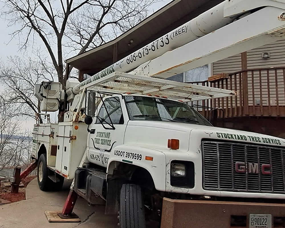 Local Tree Services