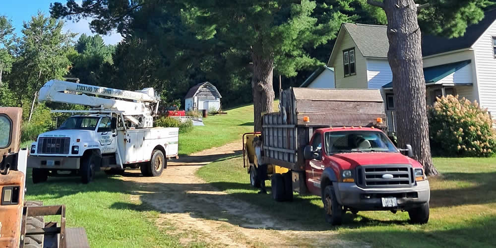 Local Tree Services