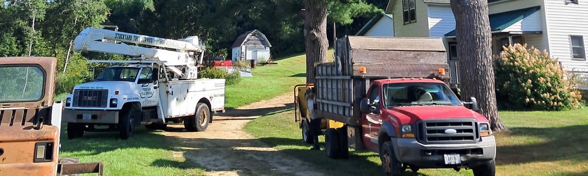 Local Tree Services