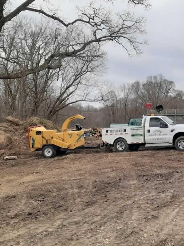 Professional Lot Clearing Services
