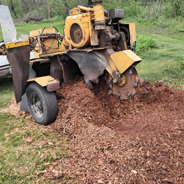 Professional Stump Grinding Services