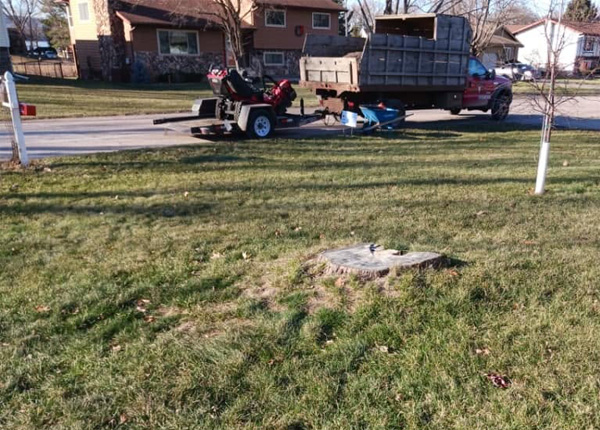Residential Stump Grinding Services