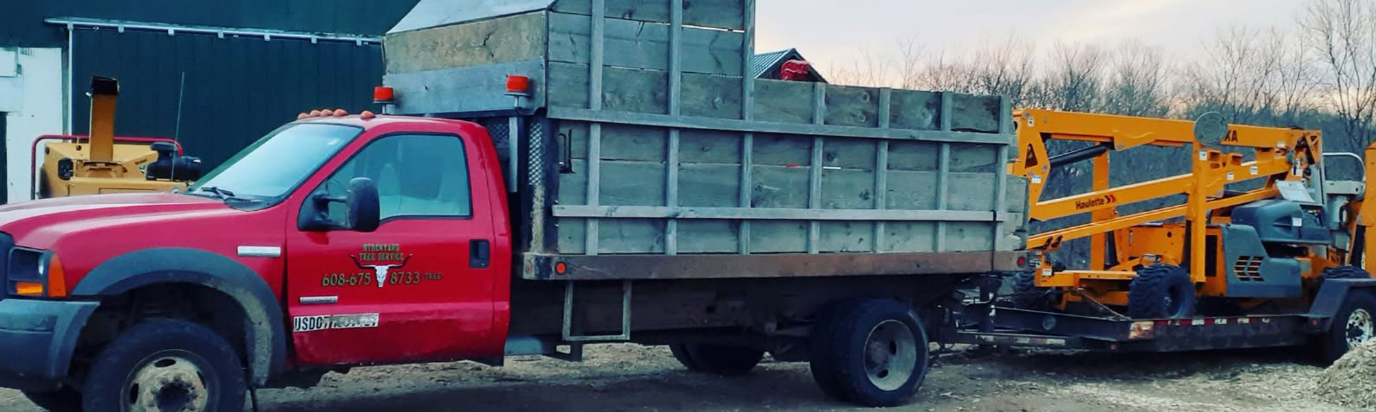 Stockyard Stump Grinding Service in Vironqua