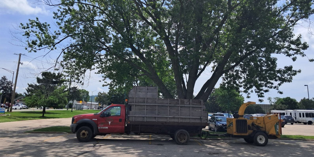 Stockyard Tree Service in Vironqua WI