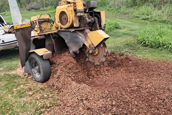 Stump Grinding Services Baraboo WI
