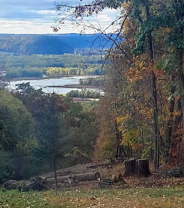 Tree Services in Baraboo near me