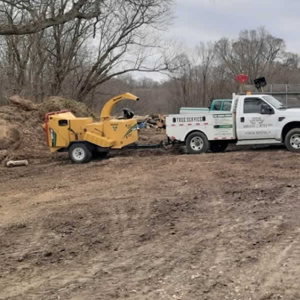 Vernon County WI Lot Clearing Services
