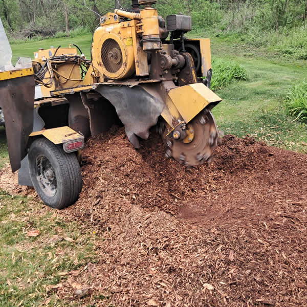 Vernon County WI Stump Grinding Services
